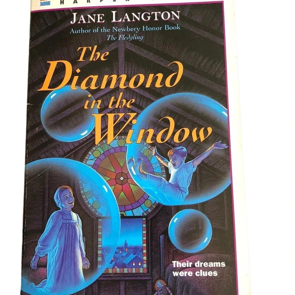 The Diamond in the Window book